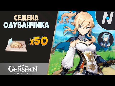 СЕМЕНА ОДУВАНЧИКА - Сбор. ЛУЧШИЙ Маршрут | Genshin Impact