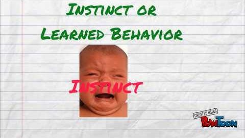 Instincts and Learned Behaviors