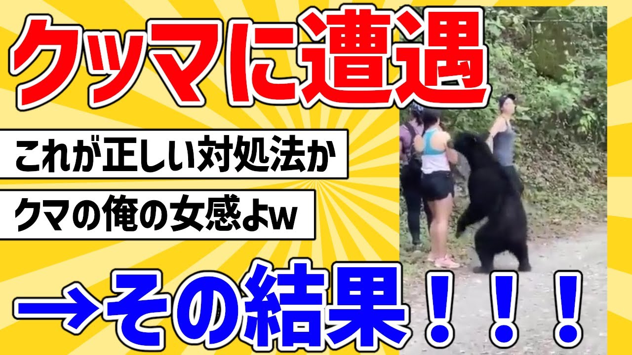 【2ch動物スレ】野生のクッマに遭遇した女の子達の対処法→その結果！！