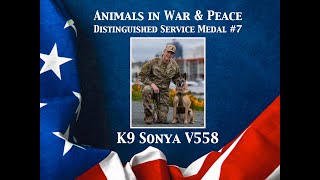 K9 Sonya  Animals in War & Peace Distinguished Service Medal #7