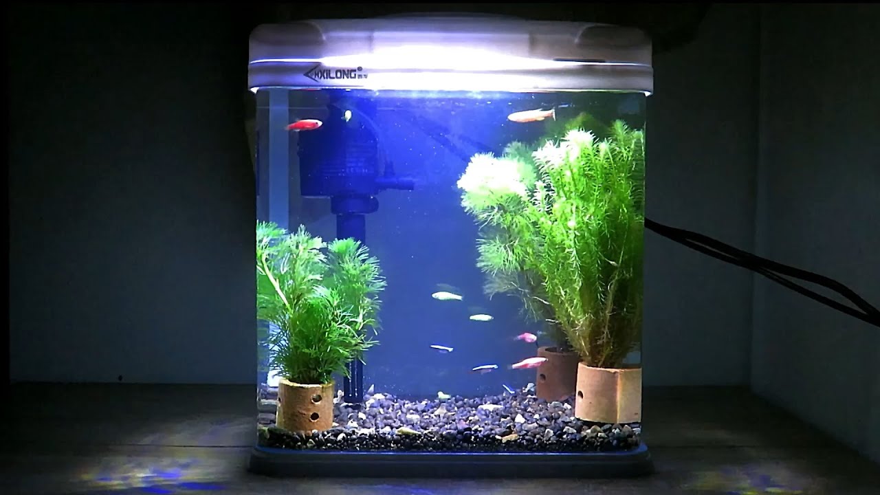 Nano Bending Fish Tank Xilong xq230aa Aquarium Bending Mini YouTube
