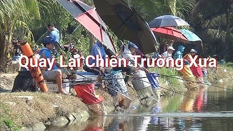 Câu Cá Lóc Quay Lại Chiến Trường Xưa Câu Cá Giải Trí  Đại Quang Minh Snakehead Fishing