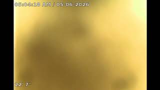 1511 24TH AVENUE - MOLINE, IL