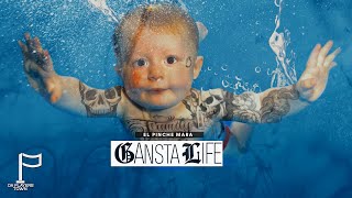 Pinche Mara - El Mara - Gansta Life 🇲🇽 (Audio Oficial)