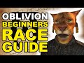 What’s the Best Race in Oblivion? (Beginner’s Guide)