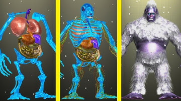 Use Idle Human Glitch To Get Free Resources 🤯 I Got Unlimited Free Gems On Idle Human  GUIDE 2022