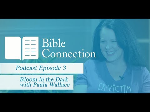 Bible Connection Podcast: Bloom in the Dark