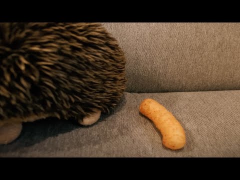 WHAT DID YOU EAT? [Sponsor Editorial #84]