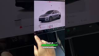 Tesla's Secret Climate Features REVEALED! 🤫❄️ #shorts