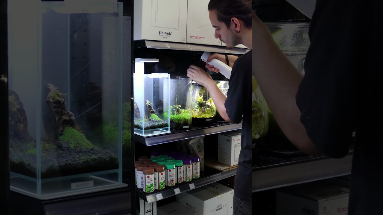 10% off on all terrariums valid until the 6th of April 2025.