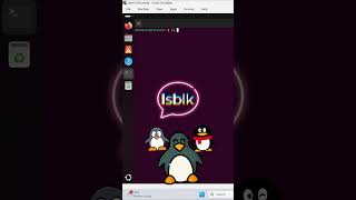 commande lsblk sur serveur Linux