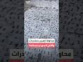 إدارة مكافحة المخدرات السورية تحبط تهريب شحنة ضخمة من المواد المخدرة 