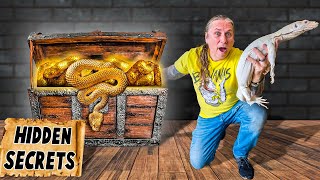 5 Hidden Secrets About Reptiles You Didn’t Know!