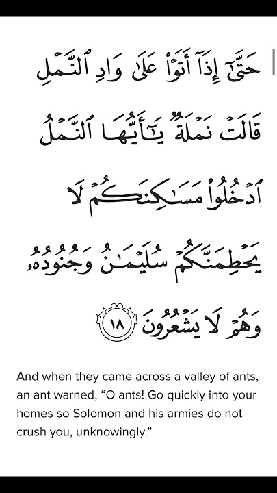 Surah An Naml Ayat 18 #shorts #quran #fatihseferagic