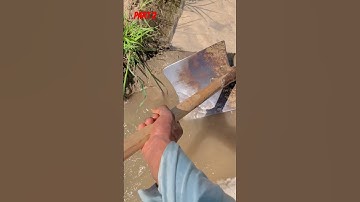 #part2 Vlog in Village #minivlog #villagelife #viralvideo #myfirstvlog #firstvlog #mini #viralvlogs