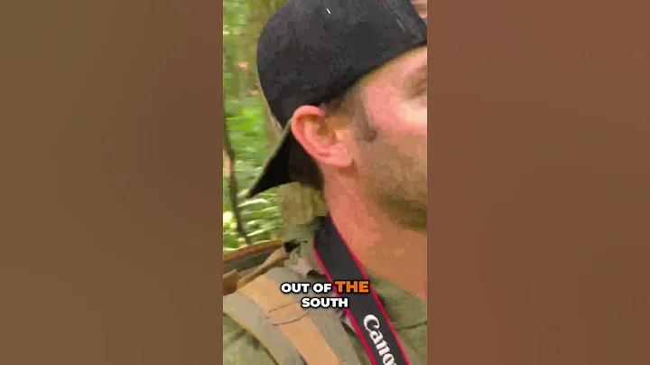 Deer Hunting Secrets: Master Thermals & Wind for Success!