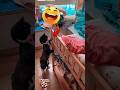 "Cat Checks Baby & Gentle Giant Dog Wait For It!"
