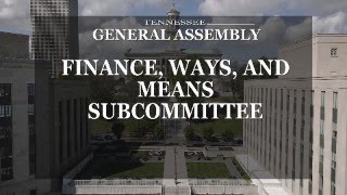 House Finance, Ways, and Means Subcommittee- April 14, 2025- House Hearing Room 1