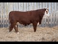 LOT 111H Wolfe Farms 2021