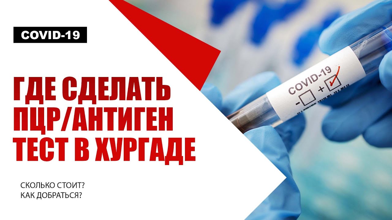 Где сделать #ПЦР или #Антиген тест в Хургаде, 🇪🇬 Египет? Сколько стоит ...