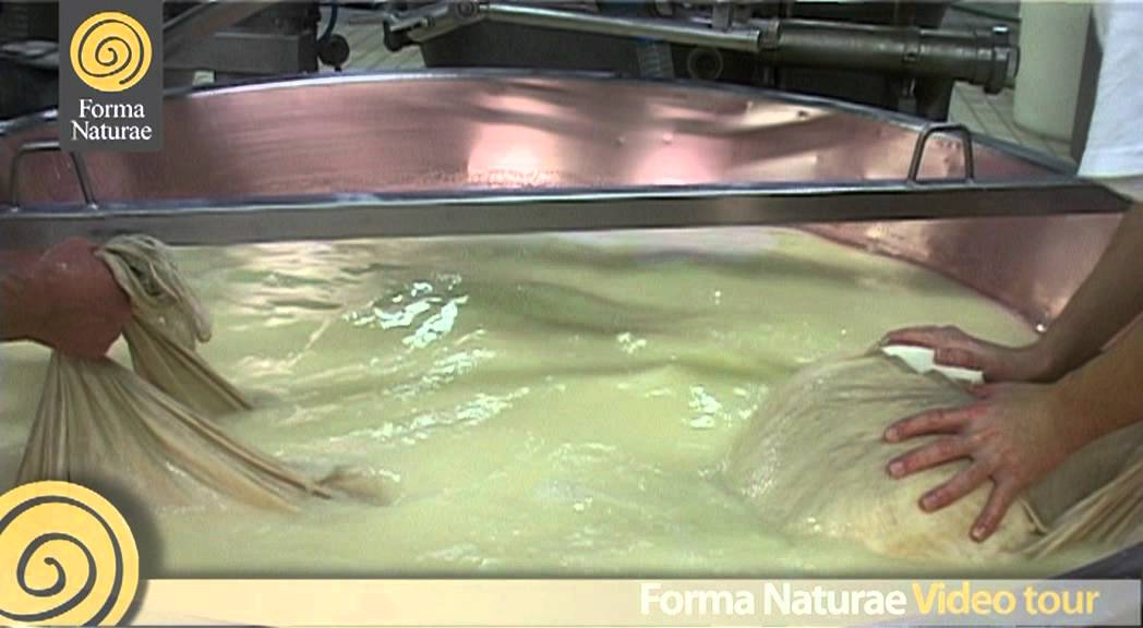 La Filiera del Grana Padano Forma Naturae