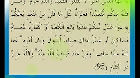 القران الكريم سورة المائدة الأية 95.wmv