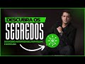 DD#Extra Descubra os Segredos do Sucesso de um negócio Autêntico ✨🚀
