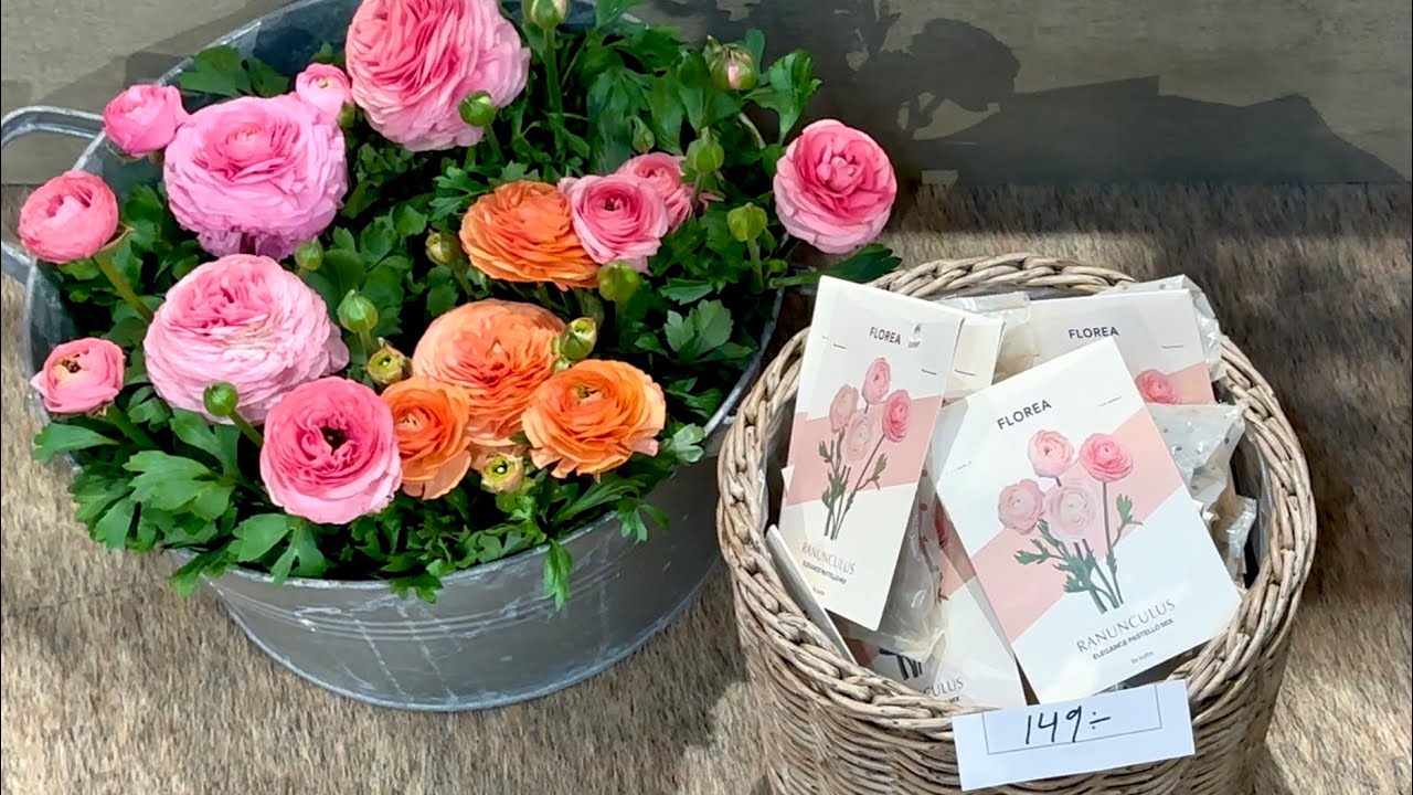 Невероятно Красивая Скандинавская Садовая Ярмарка 🌱🌼 Садоводство в Швеции | Весенний Декор