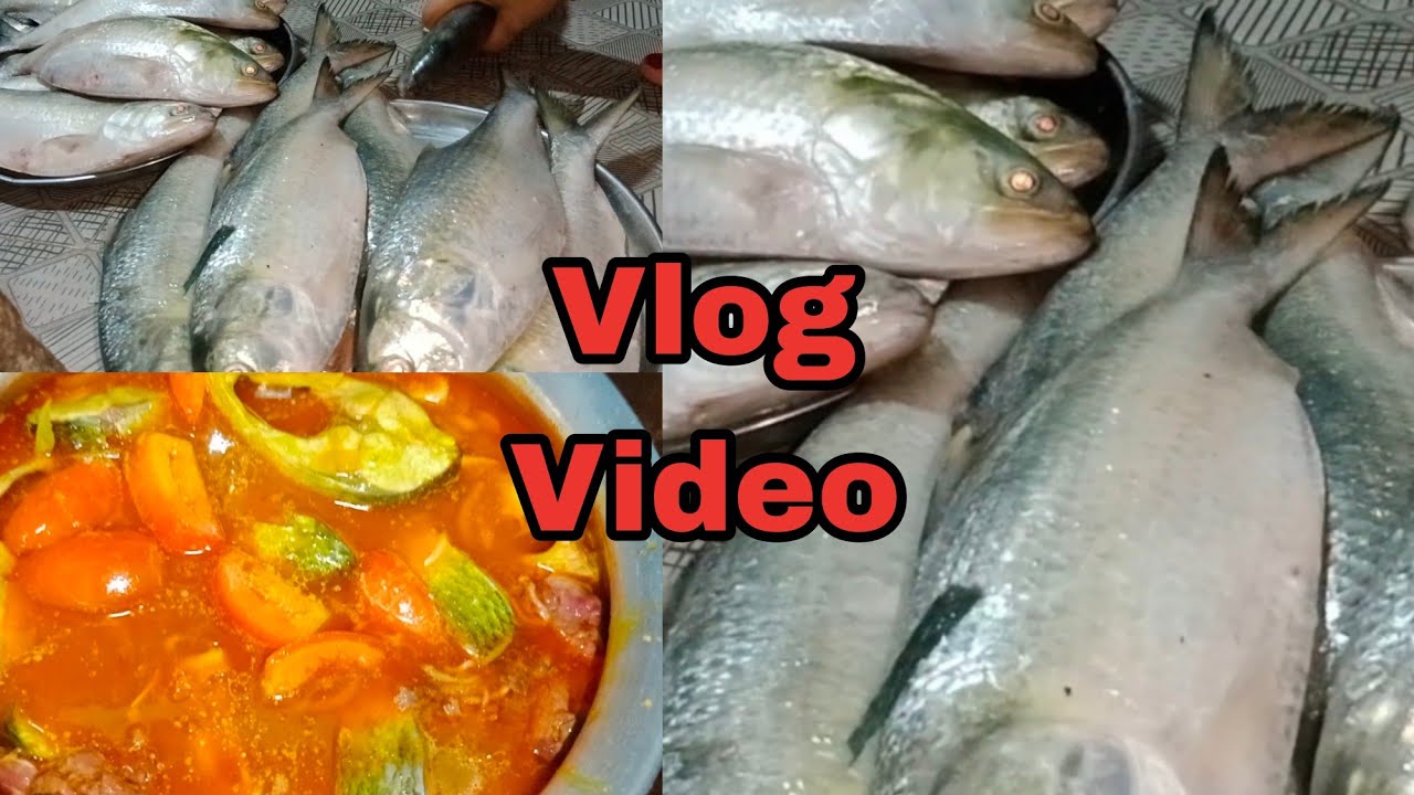 Shamoli Rani রাত এগারোটা বাজে কোথায় থেকে ইলিশ মাছ নিয়ে আসলো আজকের ব্লগ #shamoli ...
