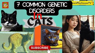 What are the 7 major genetic disorders in Cats ! Common Genetic Disorders in Cats by PawsPlayhouseTV 76k Subscriber 1.3 M views  9 views 3 months ago 9 minutes, 52 seconds