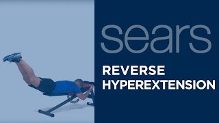 Exercise Tips:  Reverse Hyperextension