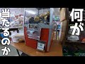 島のガチャガチャの大当たりが凄過ぎたw