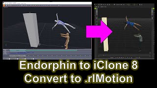 Endorphin to iClone 8 Motion Pipeline Tutorial | Convert FBX to RL Motion with 3DXchange 7