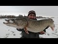 Ловля трофейной щуки. Зимняя рыбалка на жерлицы в глухозимье!