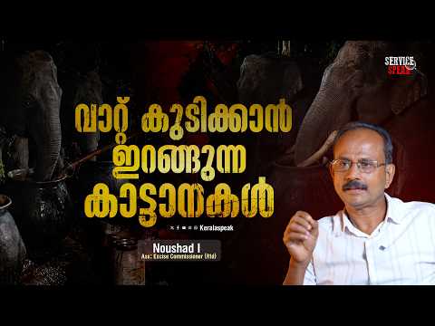 കൊടും കാട്ടിലെ വാറ്റുകേന്ദ്രങ്ങളിലെ റെയ്ഡ് | Kerala Excise | Arrack case | Service Speak 49
