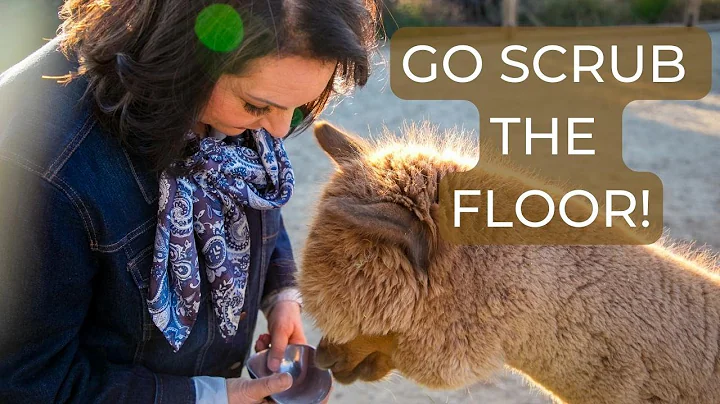 #23 Debra Cummings SOUL NOTES Go Scrub The Floor!