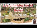 LOS ANIMALES EN EL BELÉN