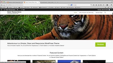 Creating WordPress Custom Menus