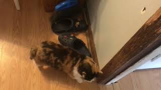 IMG 06871
