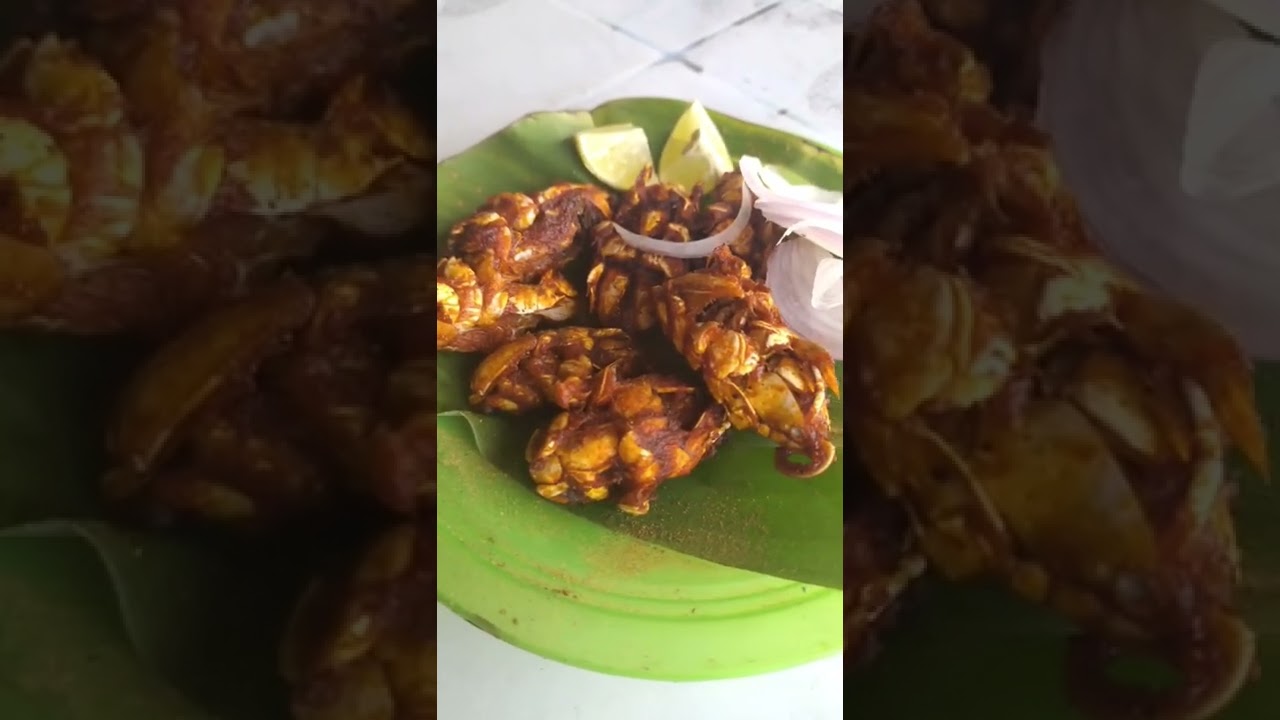 Elli Poochi - YouTube