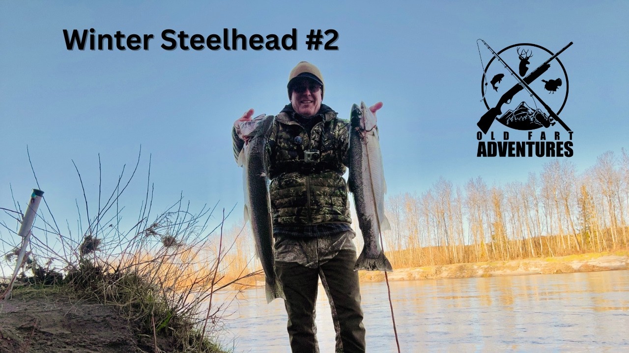 Winter Steelhead 2