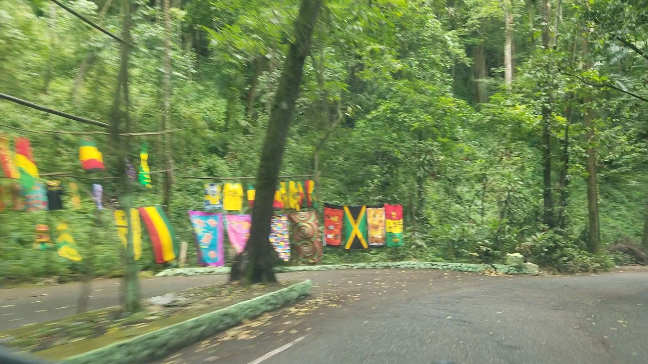 Fern Gully | Jamaica