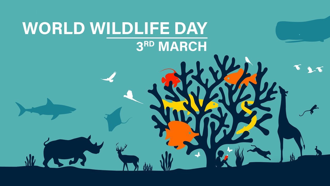 World Wildlife Day 2020