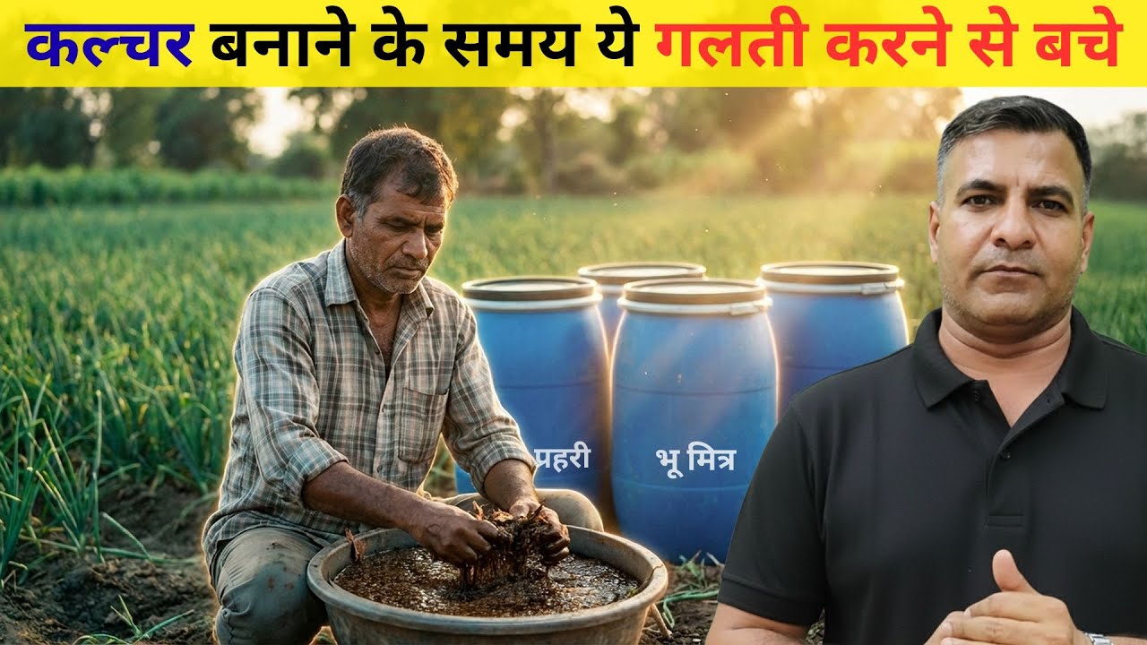 1610-Kisan karyashala: अमरूद के पत्ते में फफूंद का समाधान #rahuljawan  के साथ। #guava #fungus