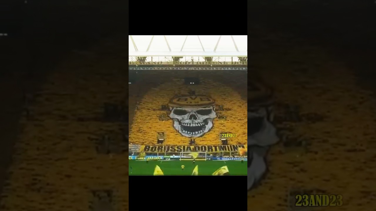 True Borussia Dortmund Fan ❤️‍🔥🖤💛 | The Passion of a Real BVB Supporter