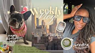 Weekly Vlog Ep 26: Working at Meta HQ Silicon Valley, Frenchie Birthday & NYC Vlog