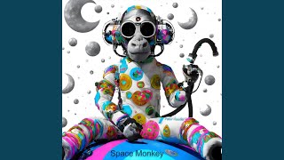 Space Monkey