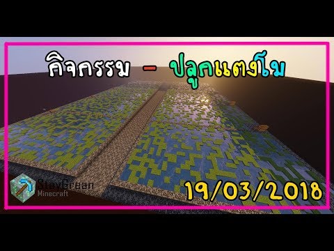 Minecraft - กิจกรรม ปลูกแตงโม (19/3/2561)