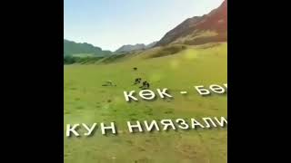 ТУРДАКУН НИЯЗАЛИЕВ, КӨК-БӨРҮ