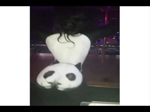 Supreme Panda Misbehaving Badly in the Club - YouTube